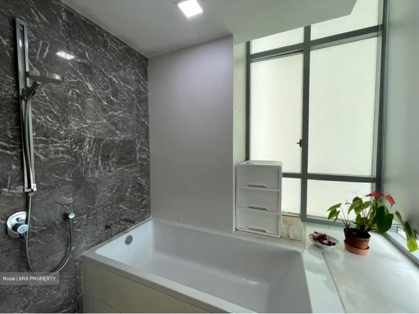 Oasis Garden (D19), Condominium #577680781